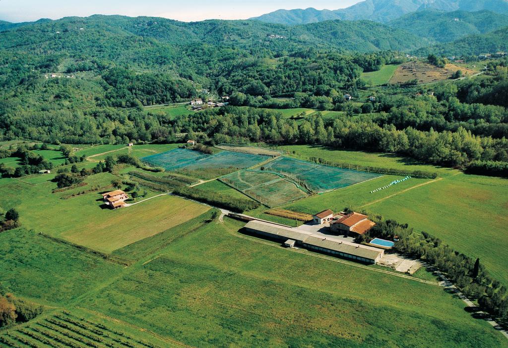 Agriturismo La Praduscella Fivizzano Zewnętrze zdjęcie